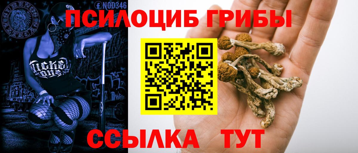Псилоцибиновые грибы мухоморы Выборг