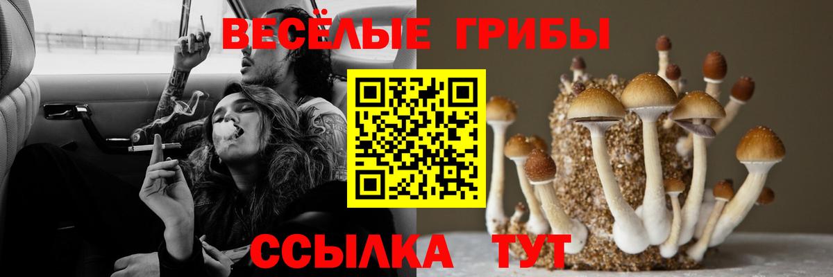 Псилоцибиновые грибы прущие грибы  Вход с VPN  Выборг 
